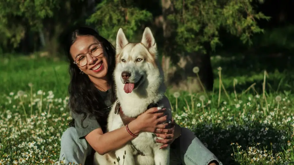 Frau sitzt mit ihrem husky in einer wiese und hält ihn im arm