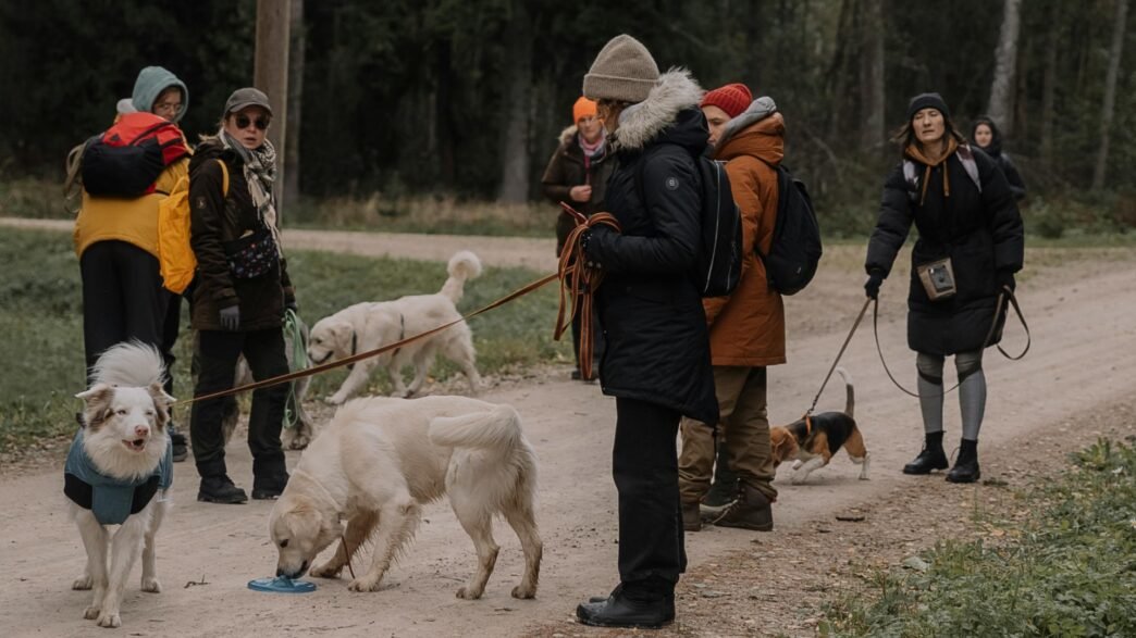 Gruppe an Menschen mit Hunden in einer Hundeschule
