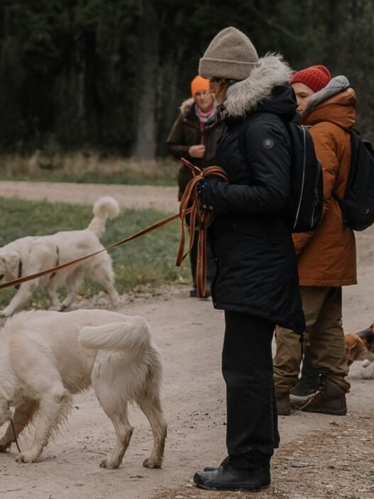 Gruppe an Menschen mit Hunden in einer Hundeschule